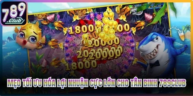 Mẹo tối ưu hóa lợi nhuận cực lớn cho tân binh 789Club