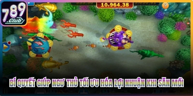 Bí quyết giúp ngư thủ tối ưu hóa lợi nhuận khi săn mồi đổi thưởng