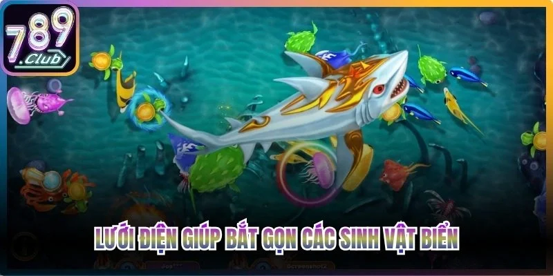 Lưới điện giúp bắt gọn các sinh vật biển di chuyển nhanh