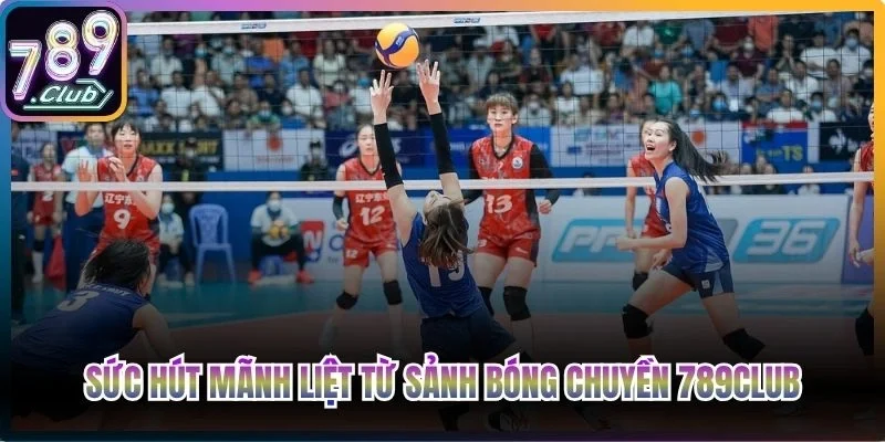 Sức hút mãnh liệt từ sảnh bóng chuyền 789Club